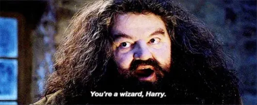 Yer a Wizard Harry - Harry Potter 1 Pack cover
