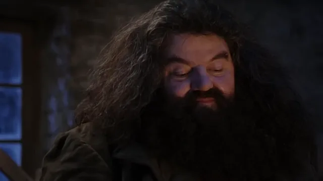 Source image for You are a wizard, line 20
