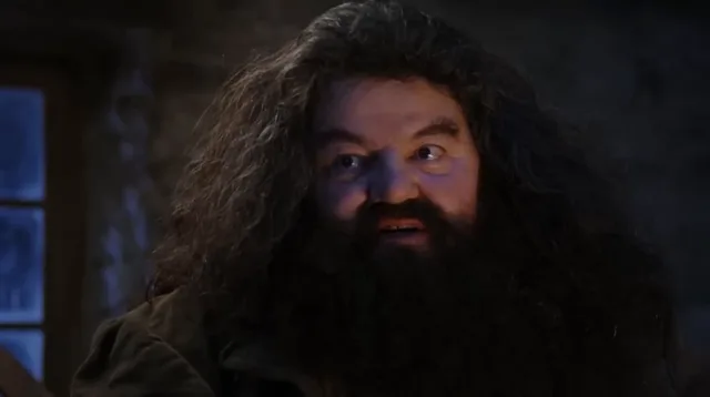 Source image for You are a wizard, line 19