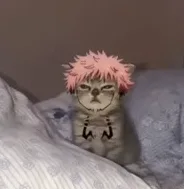 Source image for Anime Cat Boys, line 1
