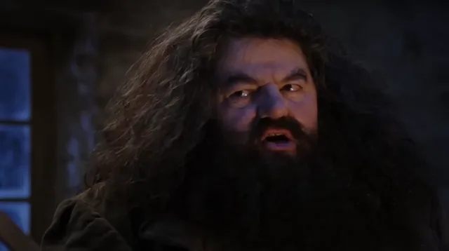 Source image for You are a wizard, line 21