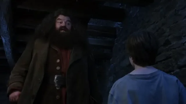 Source image for You are a wizard, line 13