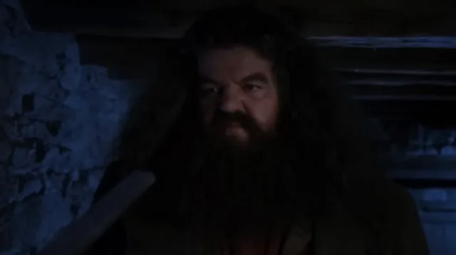Source image for You are a wizard, line 6