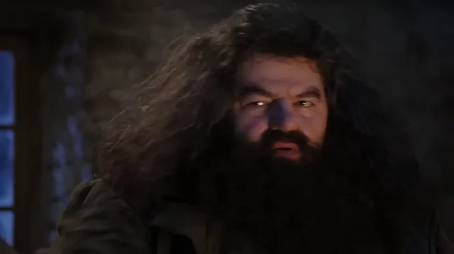 Source image for You are a wizard, line 16