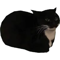 Source image for WiiVoice, line 98