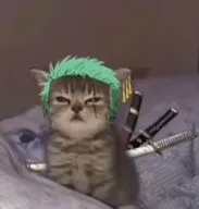 Source image for Anime Cat Boys, line 8