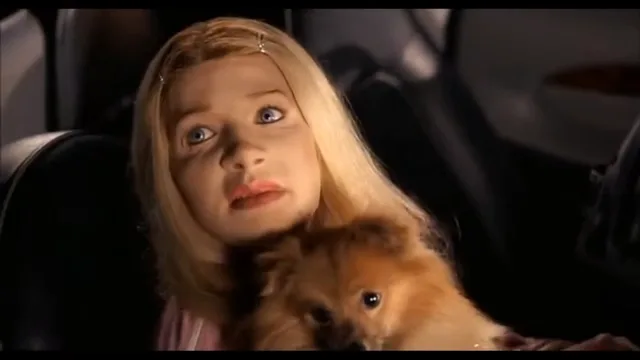 Source image for White Chicks - A Thousand Miles, line 1