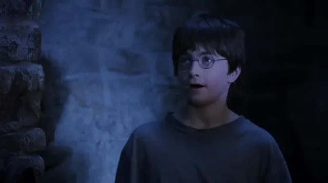 Source image for You are a wizard, line 25
