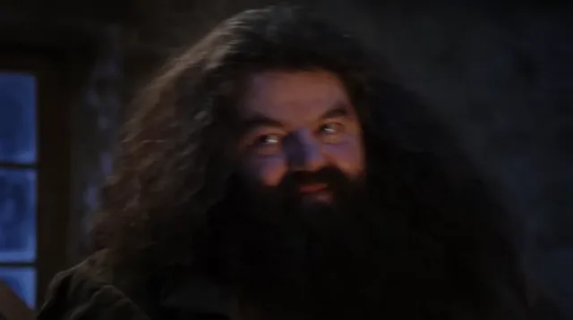 Source image for You are a wizard, line 22
