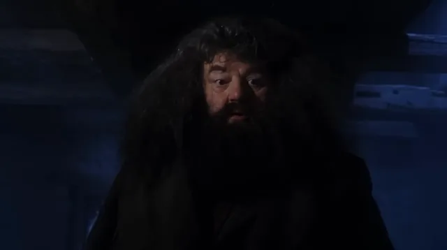 Source image for You are a wizard, line 5