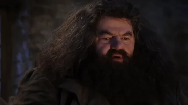 Source image for You are a wizard, line 17
