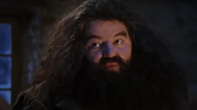 Source image for You are a wizard, line 18