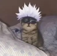 Source image for Anime Cat Boys, line 2