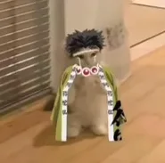 Source image for Anime Cat Boys, line 6