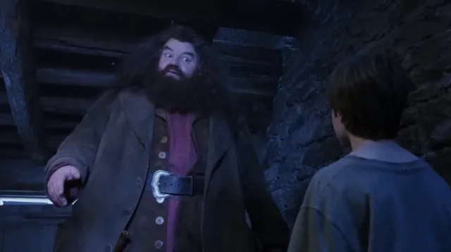 Source image for You are a wizard, line 10