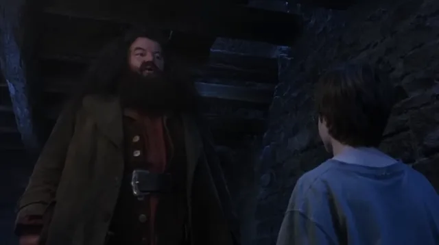 Source image for You are a wizard, line 8
