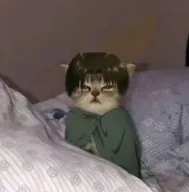 Source image for Anime Cat Boys, line 10