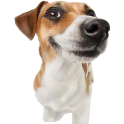 Source image for WiiVoice, line 295