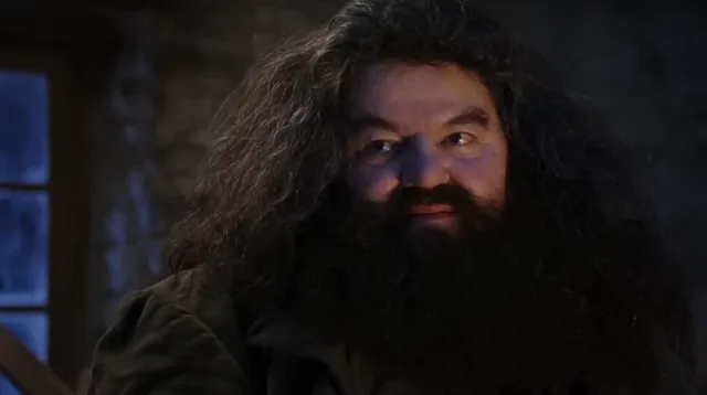 Source image for You are a wizard, line 33