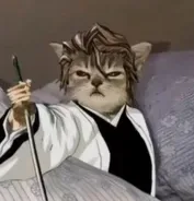 Source image for Anime Cat Boys, line 3