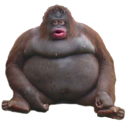 Source image for WiiVoice, line 192
