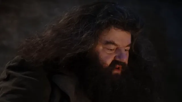 Source image for You are a wizard, line 14