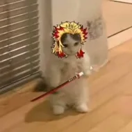 Source image for Anime Cat Boys, line 7